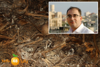 الخميس: مؤتمر صحفي ومحاضرة حول المقابر الجماعية في مكتب قائمة يافا 